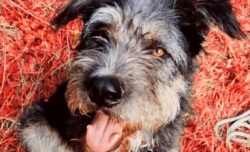EDDY – ca. 3,5 Jahre