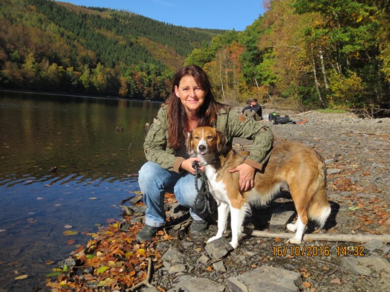 c1e24a69-36d5-4740-876d-c7371526cc90