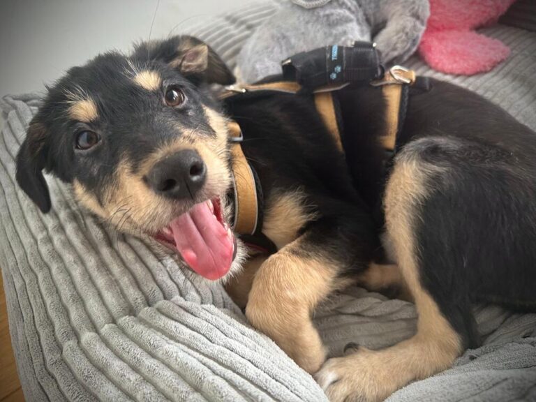 d36d3d1f-a08b-4205-b089-e71ef5657d84