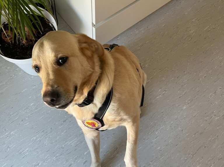 inbound7910605507774543895