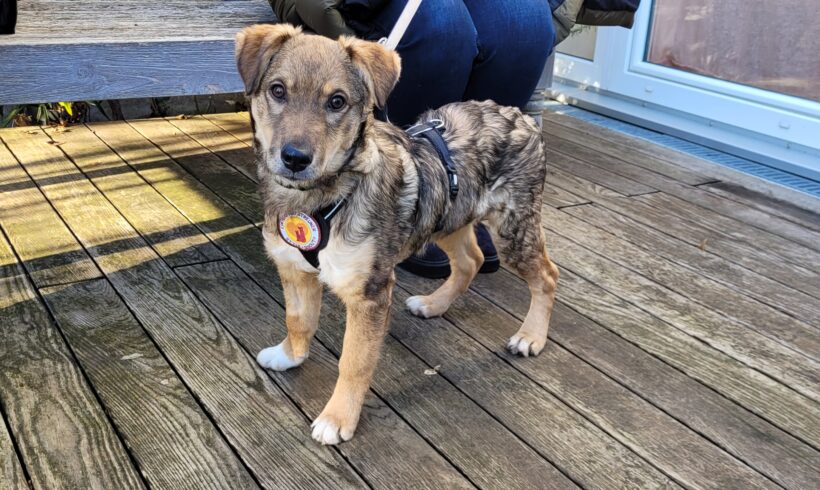 LORD FAUNTLEROY – ca. 5 Monate