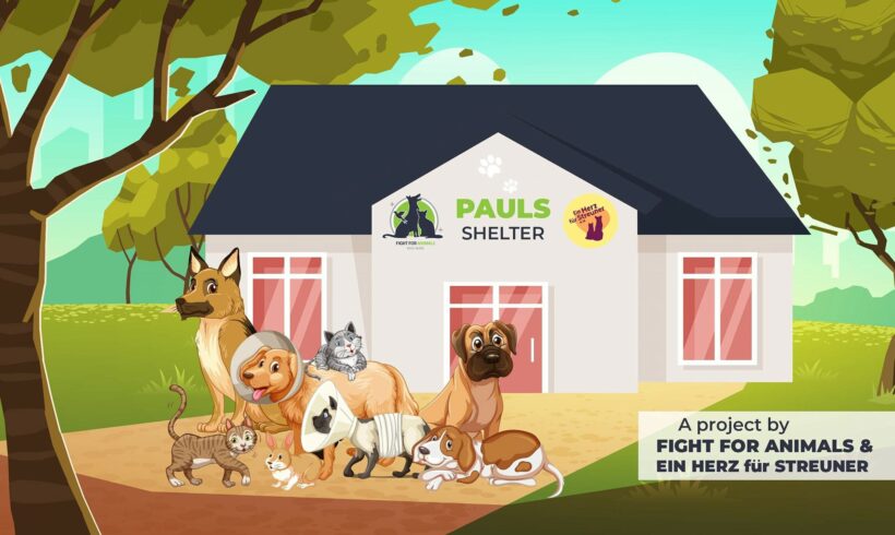 Ein neuer Meilenstein – Paul’s Shelter!