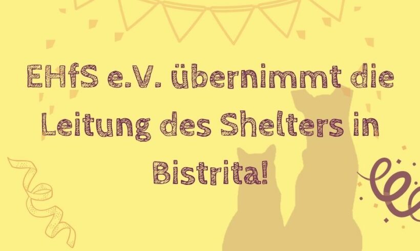 Wir übernehmen die Leitung des Shelters in Bistrita