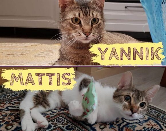 YANNIK&MATTIS – ca. 2 Jahre