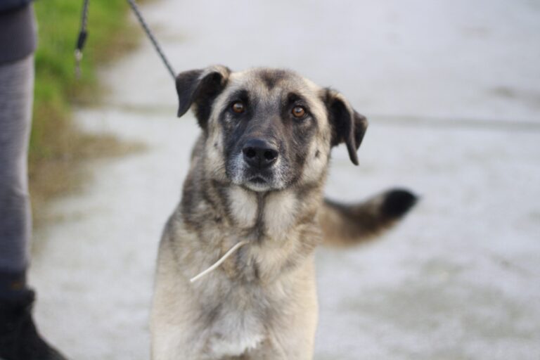 311862133_481058457316976_1373089658617239914_n