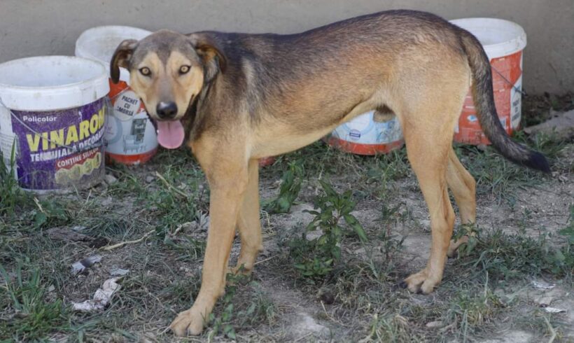 OLE – ca. 1,5 Jahre