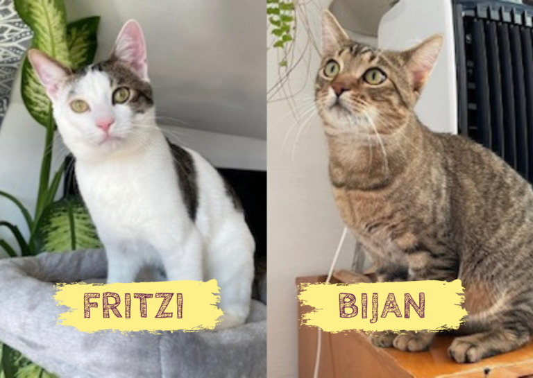 FRITZI&BIJAN