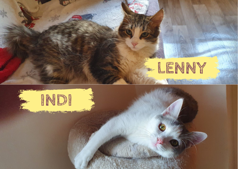 INDI&LENNY – ca. 6 Monate