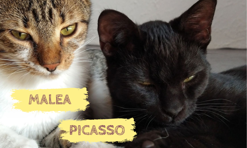 MALEA&PICASSO – ca. 10 Monate