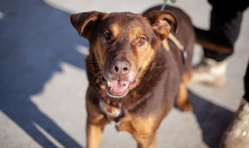 EMIL – ca. 7,5 Jahre