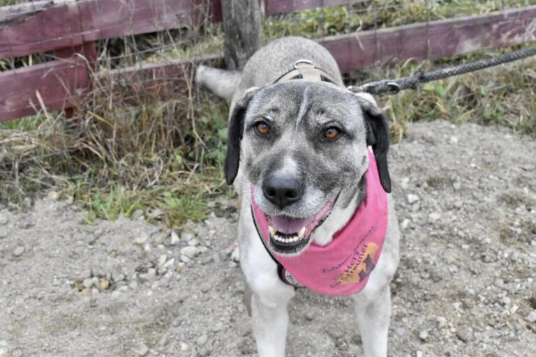 326576351_949855782682662_7745071959721795426_n