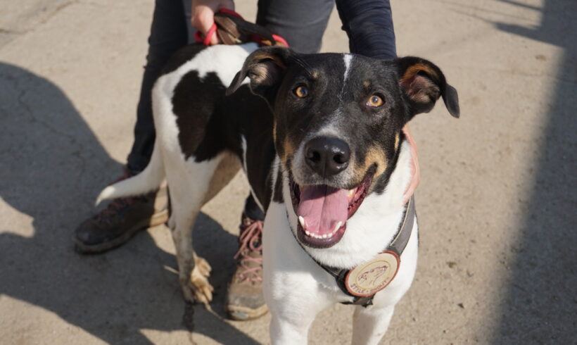 JOHN – ca. 2,5 Jahre