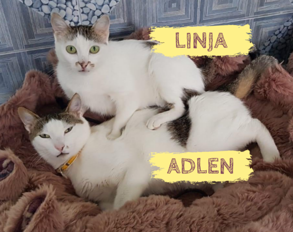 LINJA&ADLEN – ca. 3,5 & 1,5 Jahre