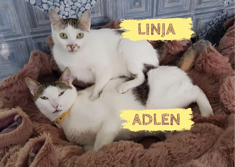 LINJA&ADLEN – ca. 3,5 & 1,5 Jahre