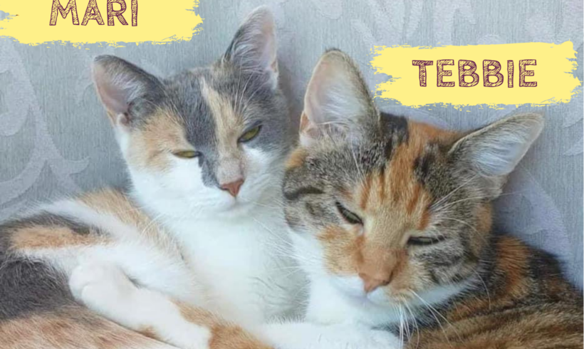 MARI&TEBBIE – ca. 1,5 Jahre