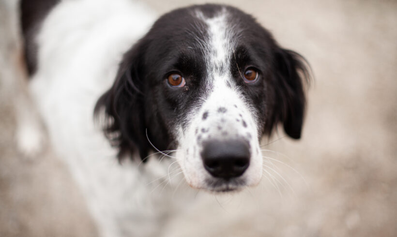 MAMI – ca. 7 – 8 Jahre