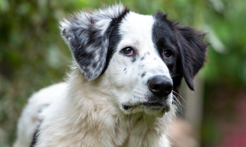 MAGALI – ca. 1 Jahr