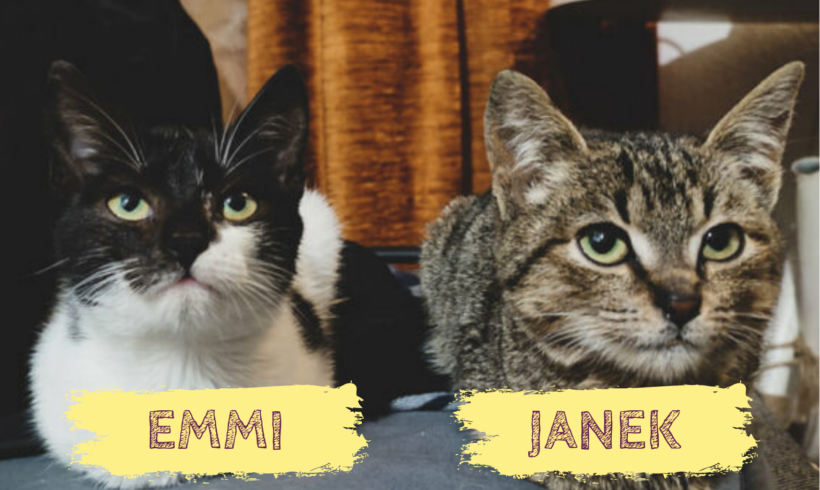 EMMI&JANEK – ca. 1 Jahr