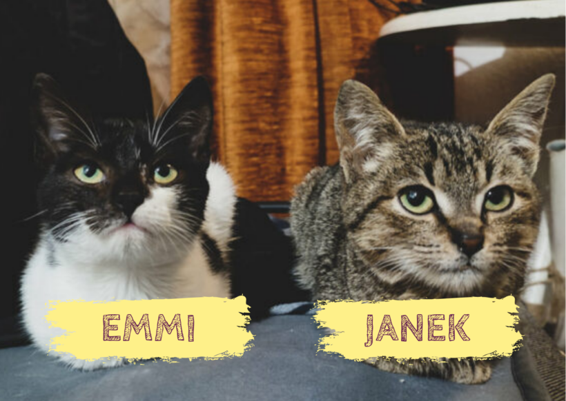 EMMI&JANEK – ca. 1 Jahr