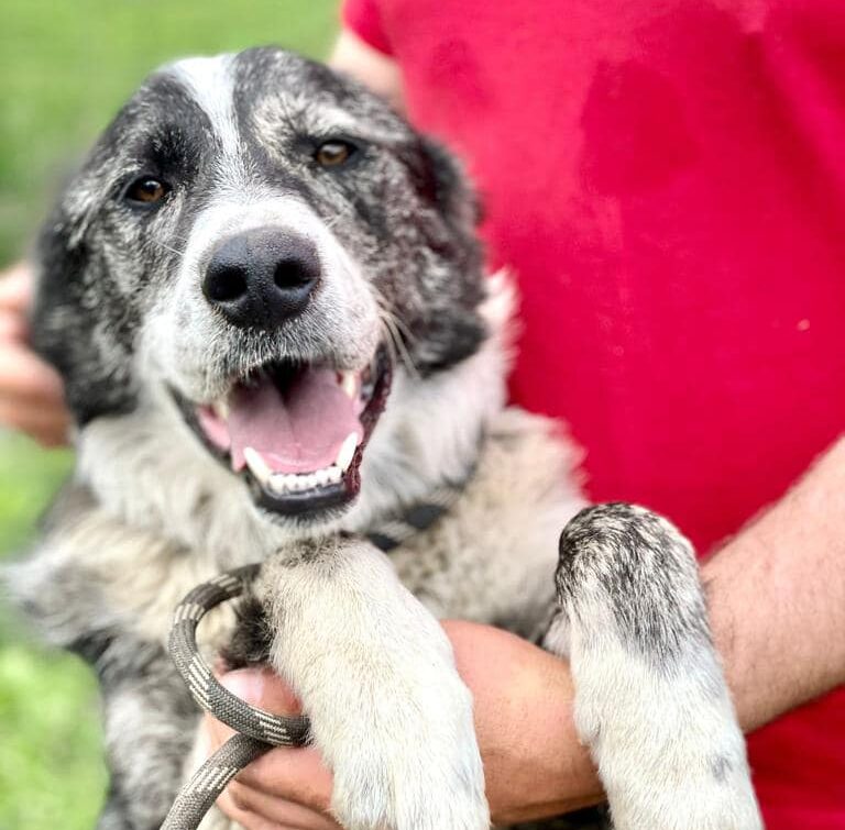 279747496_5397921360232429_5798387672956537584_n