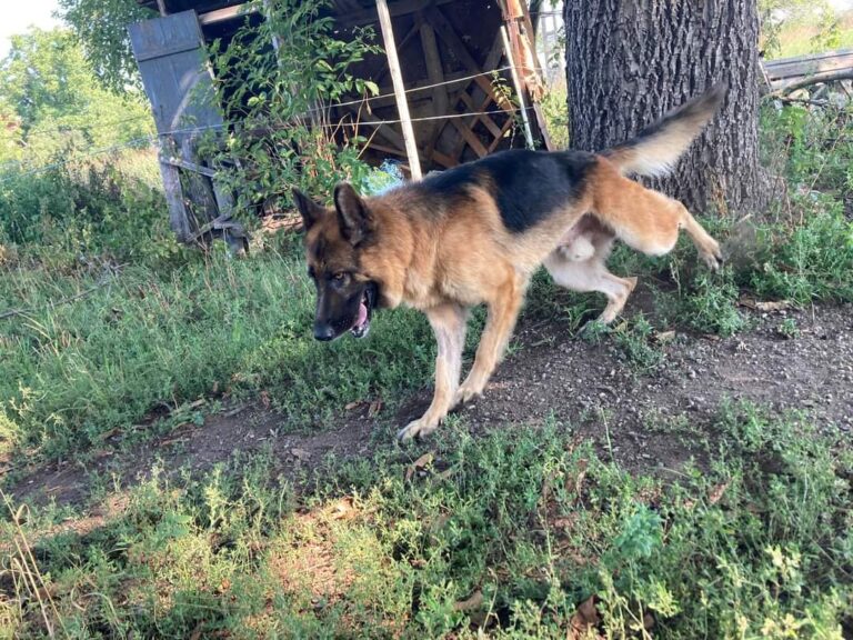 FB_IMG_1664060469236