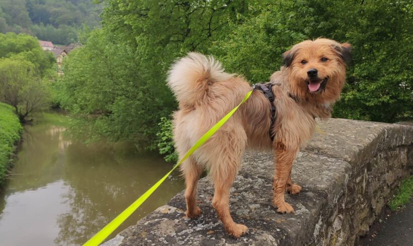 AFRIM – ca. 1 Jahr