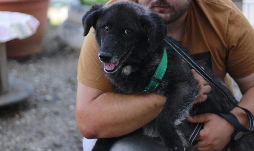 GLIJA – ca. 7 Jahre