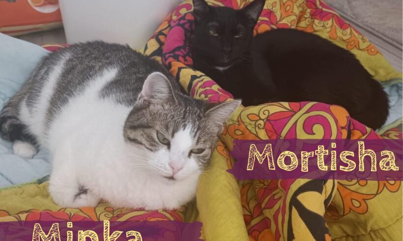 MINKA&MORTISHA