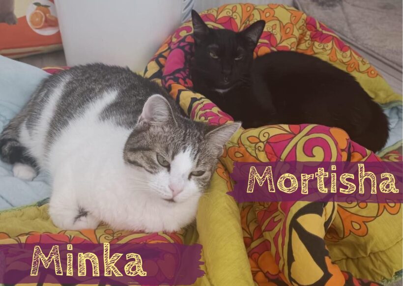 MINKA&MORTISHA