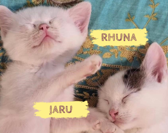 RHUNA&JARU – ca. 3 Monate