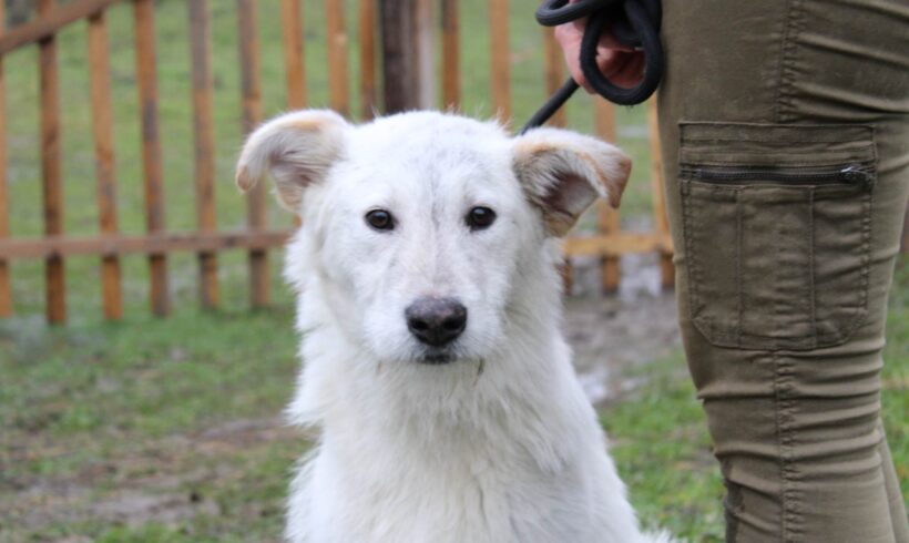 LUKI – ca. 2,5 Jahre