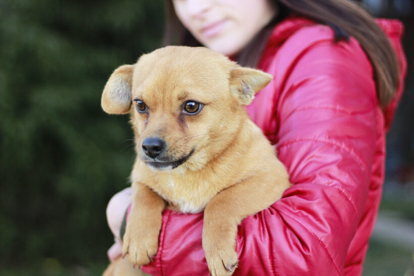 FÜXCHEN – ca. 2 Jahre