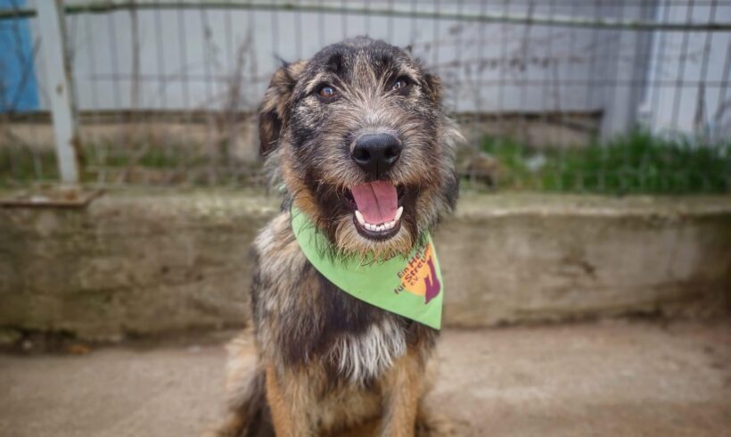 MELVIN – ca. 1,5 Jahre