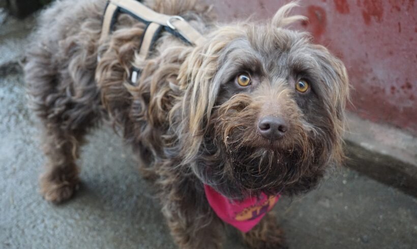 RONJA – ca. 2,5 Jahre