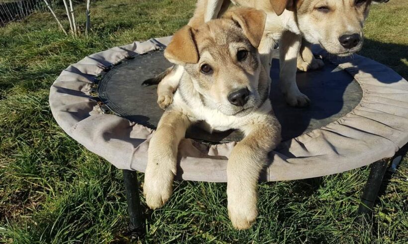 BERRI – ca. 3 Monate