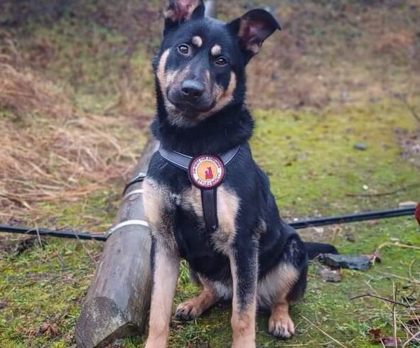 WIDOU – ca. 1,5 Jahre