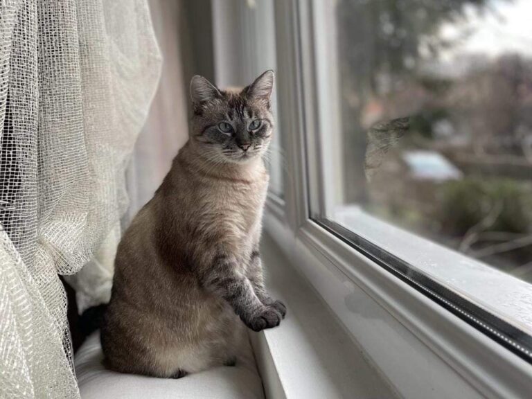 FB_IMG_1679867236118