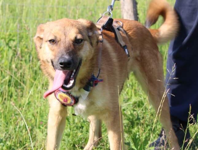 LEONITA – ca. 9 Monate