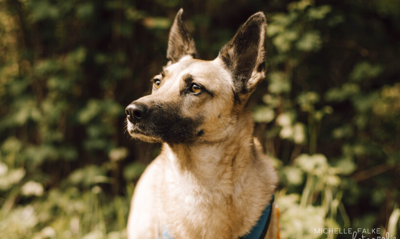 SCHNECKI – ca. 4,5 Jahre