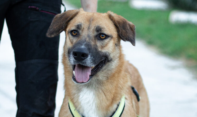 FERI – ca. 2 Jahre