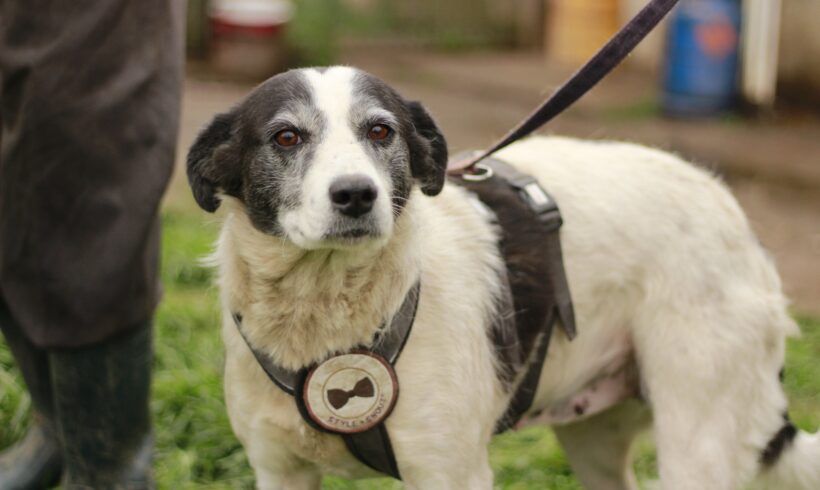 MALU – ca. 4 – 5 Jahre