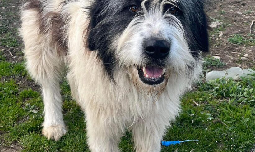 COLOMBO – ca. 3,5 Jahre