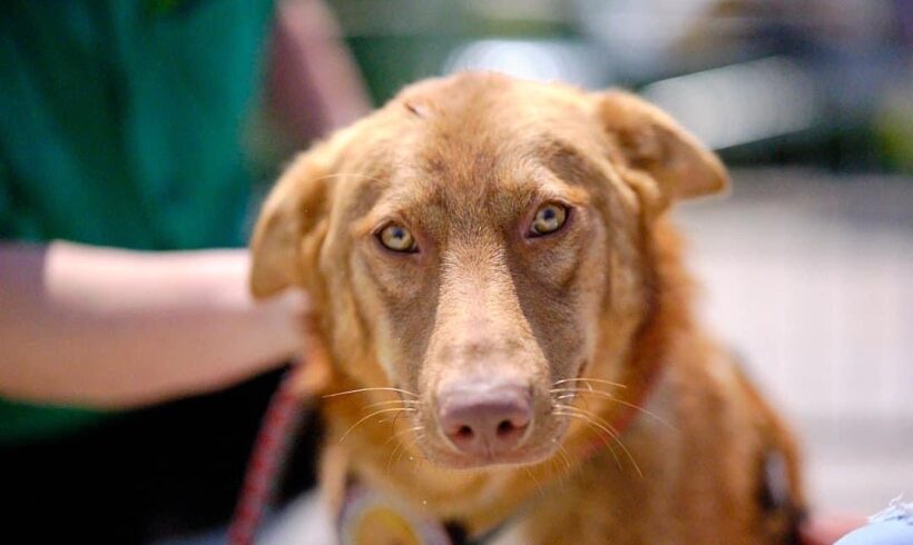 NANOOK – ca. 1 Jahr