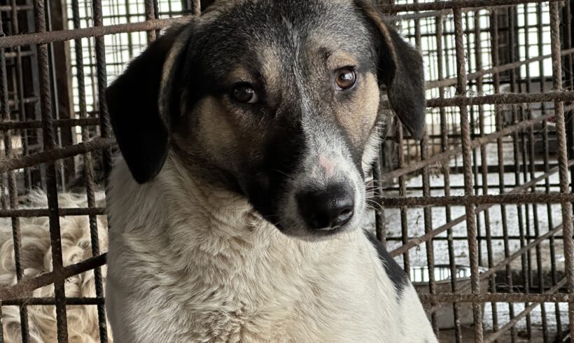 KLECKS – ca. 1 Jahr