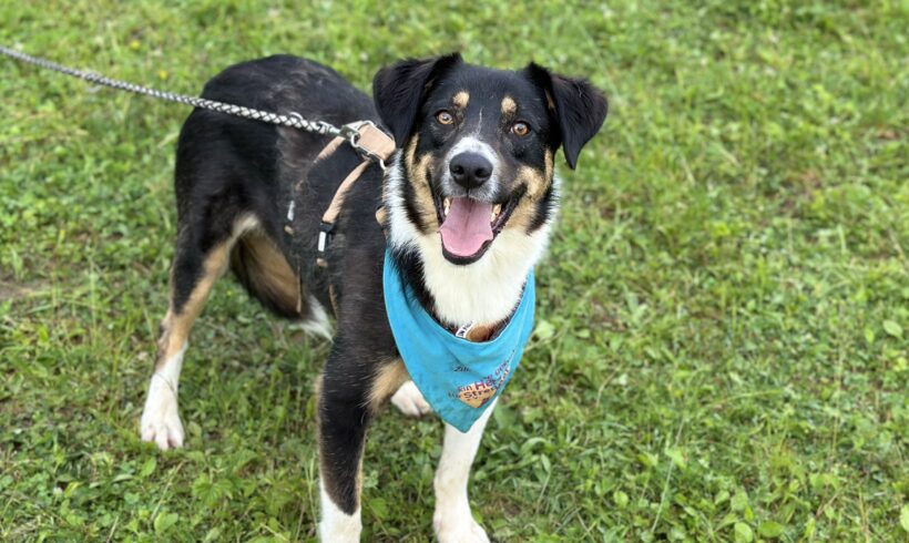 AMAL – ca. 2 Jahre