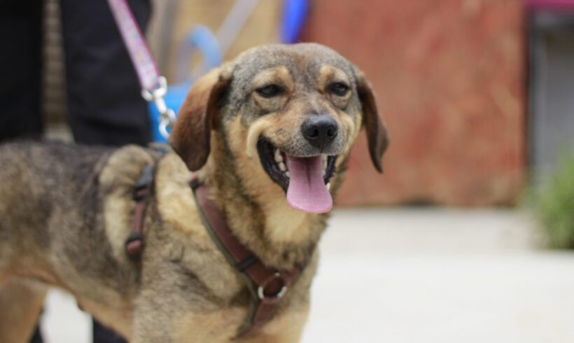 MUNO – ca. 2 Jahre