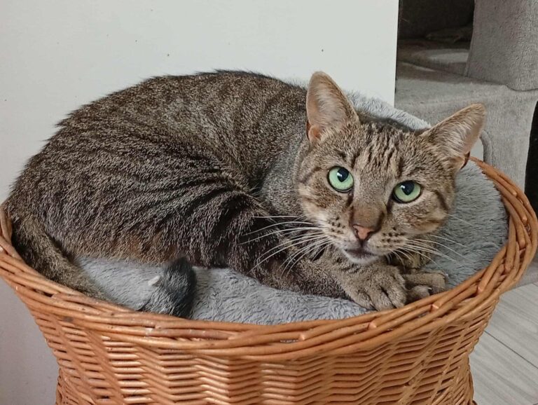 543675056_1317041083288297_1213534438627848356_n