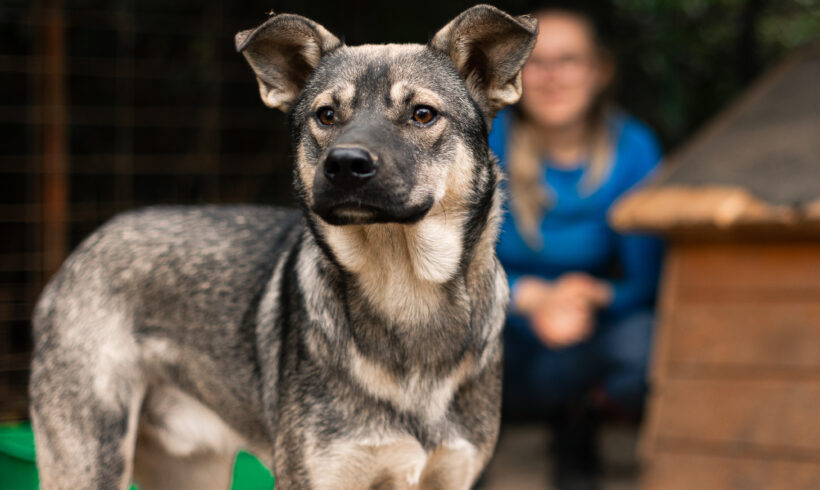 ZUKO – ca. 10 Monate