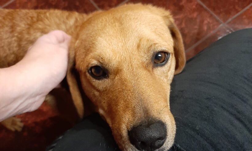 MOBBI – ca. 2 Jahre