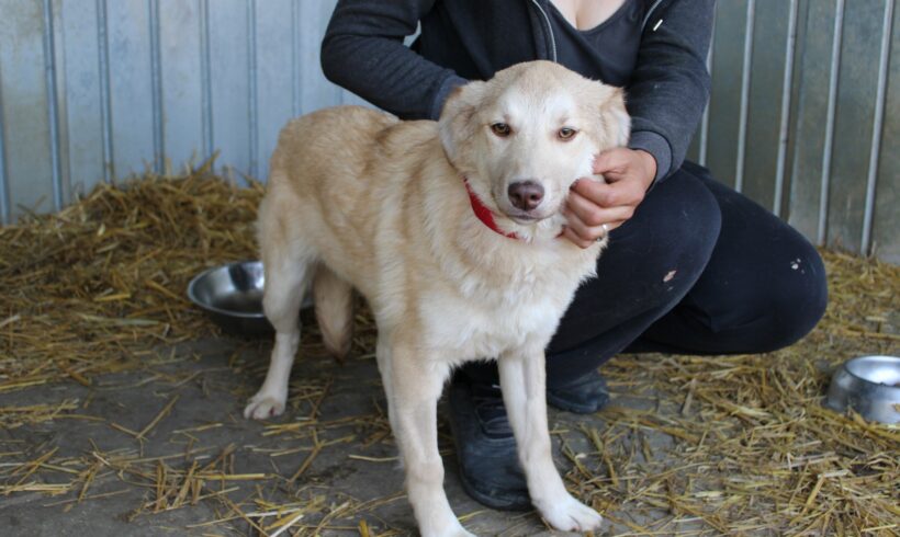 ELMONDE – ca. 9 Monate